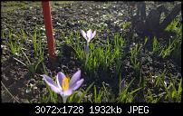 Nokia Lumia 1020 - Fotoqualität-wp_20140213_12_11_39_raw.jpg