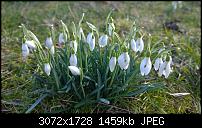 Nokia Lumia 1020 - Fotoqualität-wp_20140213_12_13_40_raw.jpg