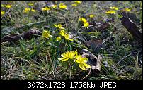 Nokia Lumia 1020 - Fotoqualität-wp_20140213_12_16_28_raw.jpg