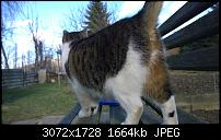 Nokia Lumia 1020 - Fotoqualität-wp_20140213_12_22_01_raw.jpg