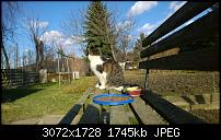 Nokia Lumia 1020 - Fotoqualität-wp_20140213_12_22_41_raw.jpg