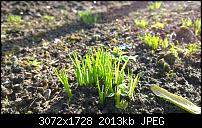 Nokia Lumia 1020 - Fotoqualität-wp_20140213_12_24_44_raw.jpg