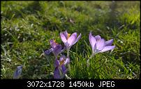 Nokia Lumia 1020 - Fotoqualität-wp_20140213_12_19_30_raw.jpg