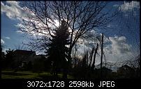 Nokia Lumia 1020 - Fotoqualität-wp_20140213_12_15_36_raw.jpg