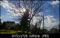 Nokia Lumia 1020 - Fotoqualität-wp_20140213_12_15_36_raw-1.jpg