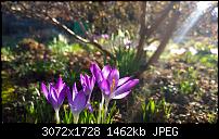 Nokia Lumia 1020 - Fotoqualität-wp_20140214_12_04_34_raw.jpg