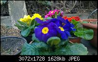 Nokia Lumia 1020 - Fotoqualität-wp_20140214_12_08_52_raw.jpg