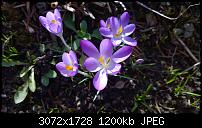 Nokia Lumia 1020 - Fotoqualität-wp_20140223_13_49_40_pro.jpg