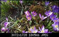 Nokia Lumia 1020 - Fotoqualität-wp_20140223_13_50_02_pro.jpg