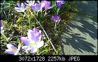 Nokia Lumia 1020 - Fotoqualität-wp_20140223_13_53_36_pro.jpg