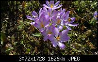 Nokia Lumia 1020 - Fotoqualität-wp_20140223_13_56_58_pro.jpg