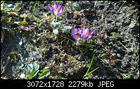 Nokia Lumia 1020 - Fotoqualität-wp_20140223_13_57_49_pro.jpg