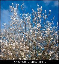 Nokia Lumia 1020 - Fotoqualität-20140128_lumia1020_08.jpg