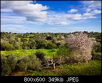 Nokia Lumia 1020 - Fotoqualität-20140131_lumia1020_14.jpg