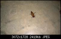 Nokia Lumia 1020 - Fotoqualität-wp_20140219_07_59_04_pro.jpg