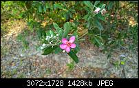 Nokia Lumia 1020 - Fotoqualität-wp_20140220_09_26_59_pro.jpg