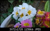 Nokia Lumia 1020 - Fotoqualität-wp_20140309_14_01_58_pro.jpg