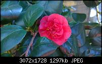 Nokia Lumia 1020 - Fotoqualität-wp_20140309_14_02_20_pro.jpg