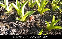 Nokia Lumia 1020 - Fotoqualität-wp_20140309_14_09_10_pro.jpg