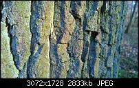 Nokia Lumia 1020 - Fotoqualität-h91i.jpg