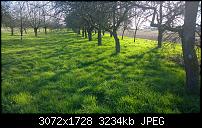 Nokia Lumia 1020 - Fotoqualität-wp_20140320_16_25_45_pro.jpg