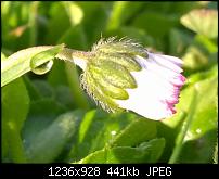 Nokia Lumia 1020 - Fotoqualität-wp_20140422_07_42_25_pro.jpg