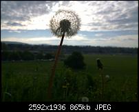 Nokia Lumia 1020 - Fotoqualität-wp_20140422_08_19_47_pro.jpg