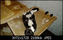 Nokia Lumia 1020 - Fotoqualität-wp_20140112_19_26_24_pro.jpg