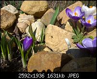 Nokia Lumia 1020 - Fotoqualität-wp_20140309_11_49_41_pro.jpg