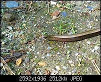 Nokia Lumia 1020 - Fotoqualität-wp_20140511_15_15_55_pro.jpg