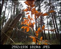 Nokia Lumia 1020 - Fotoqualität-wp_20140325_15_45_31_pro.jpg