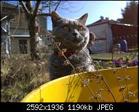 Nokia Lumia 1020 - Fotoqualität-wp_20140309_13_30_48_pro.jpg