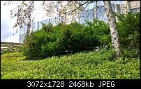 Kreuz mit der Kamera ein kurzer Bericht-wp_20140728_001-1.jpg