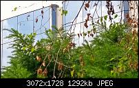 Kreuz mit der Kamera ein kurzer Bericht-wp_20140728_002.jpg