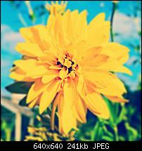 Nokia Lumia 1020 - Fotoqualität-6tag_030814-162022.jpg