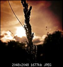 Nokia Lumia 1020 - Fotoqualität-6tag_030814-163339.jpg