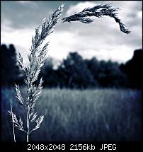 Nokia Lumia 1020 - Fotoqualität-6tag_030814-182605.jpg