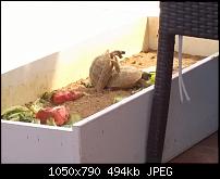 Nokia Lumia 1020 - Fotoqualität-wp_20140916_13_13_43_pro__highres.jpg