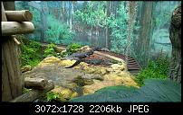 Nokia Lumia 1020 - Fotoqualität-wp_20160423_11_22_19_pro.jpg