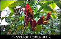 Nokia Lumia 1020 - Fotoqualität-wp_20160423_15_20_58_pro.jpg