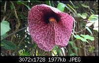 Nokia Lumia 1020 - Fotoqualität-wp_20160423_15_42_59_pro.jpg