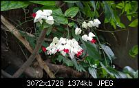 Nokia Lumia 1020 - Fotoqualität-wp_20160423_15_46_11_pro.jpg