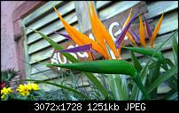 Nokia Lumia 1020 - Fotoqualität-wp_20160423_16_51_26_pro.jpg