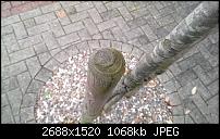 Zeigt her eure Lumia 1520 Fotos-imag0015.jpg