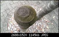 Zeigt her eure Lumia 1520 Fotos-imag0019.jpg