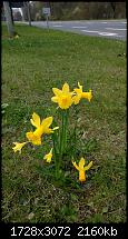 Zeigt her eure Lumia 1520 Fotos-wp_20140331-7.jpg