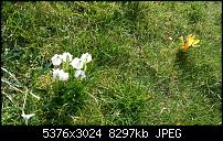 Zeigt her eure Lumia 1520 Fotos-wp_20140306_14_38_02_pro__highres.jpg