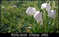 Zeigt her eure Lumia 1520 Fotos-wp_20140306_14_38_45_pro__highres.jpg