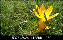 Zeigt her eure Lumia 1520 Fotos-wp_20140306_14_38_57_pro__highres.jpg