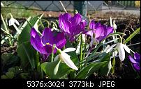 Zeigt her eure Lumia 1520 Fotos-wp_20140308_14_44_51_pro__highres.jpg